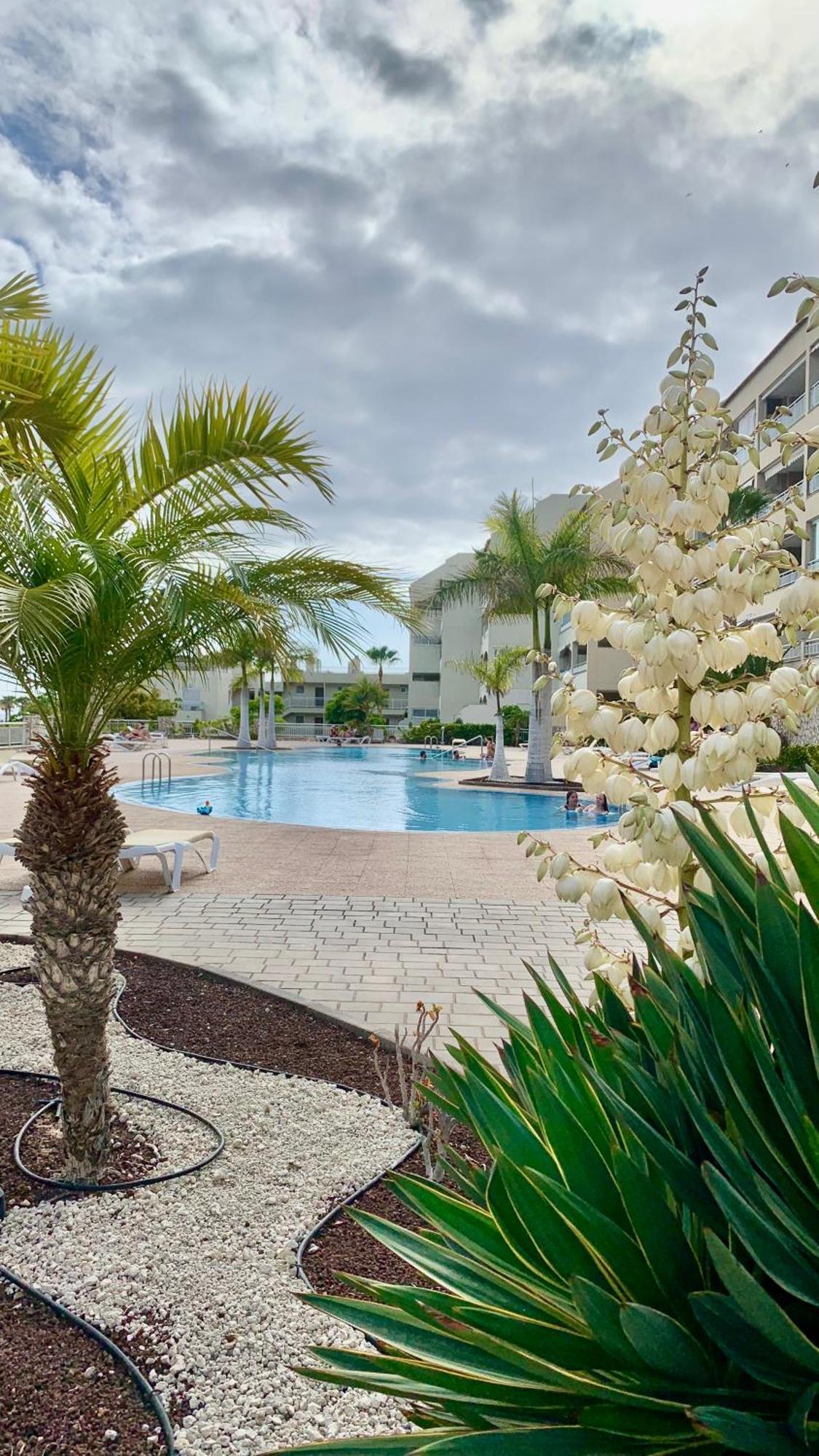 Apartamento Palmeritas Mar Tenerife Sur Palm-mar