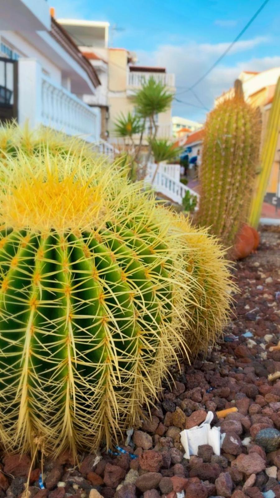Palmeritas Mar Tenerife Sur Apartamento *